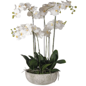 Faux beautiful white orchid in ceramic bowl with real feel flowers Dimensions: H:97 W: 65 L: 65 cm.