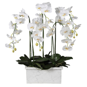 Large beautiful faux white orchid in square marble effect pot, perfect for window settings where it will bring a cascade of real feel flowers. Dimensions: H:100 W: 21,5 L: 43,5 cm.